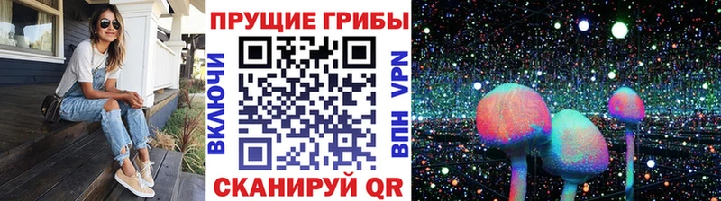 продажа наркотиков  Боровск  Галлюциногенные грибы MAGIC MUSHROOMS 